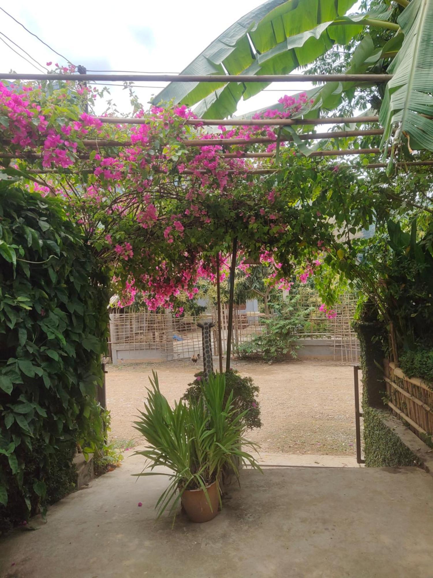 Meexok Guesthouse Nongkhiaw エクステリア 写真